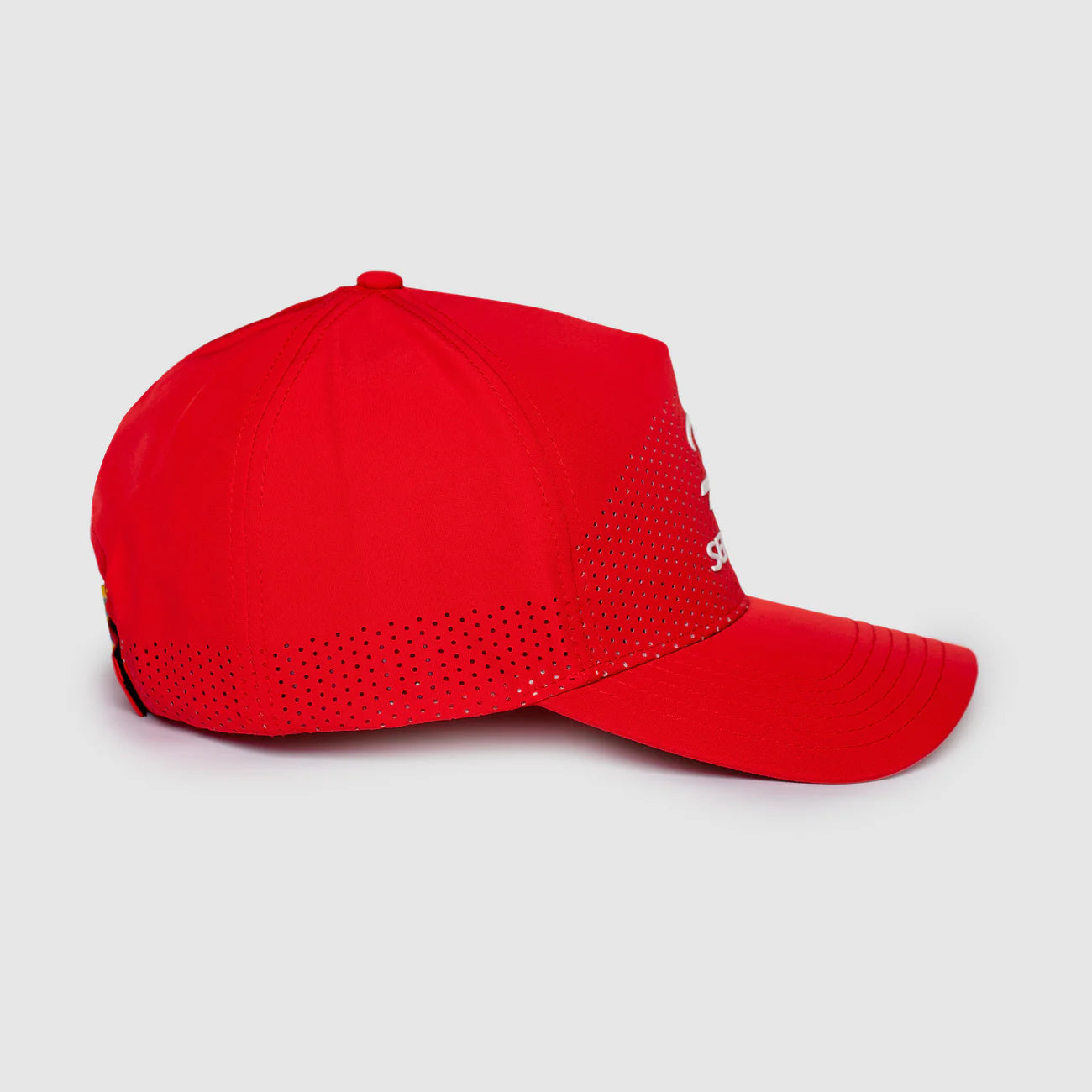 Gorra Rojo F1 Ayrton Senna Logo 2026