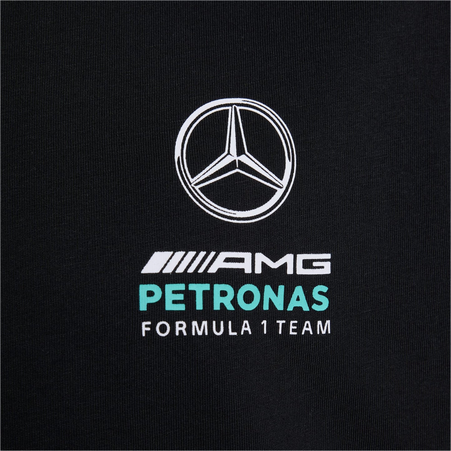 Playera F1 Mercedes Infantil DNA AMG Petronas