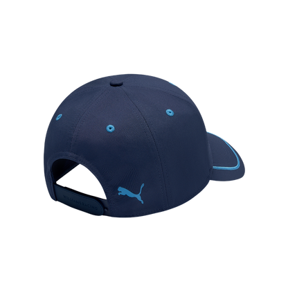 Williams Gorra Logo 2025