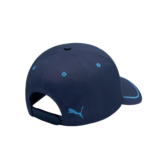 Williams Gorra Logo 2025