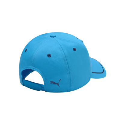 Williams Gorra Logo 2025